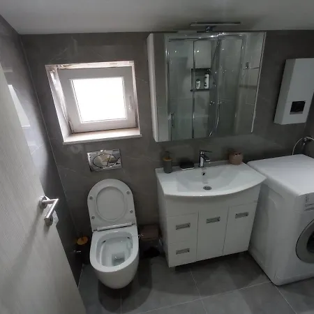Apartment Vaskovic *