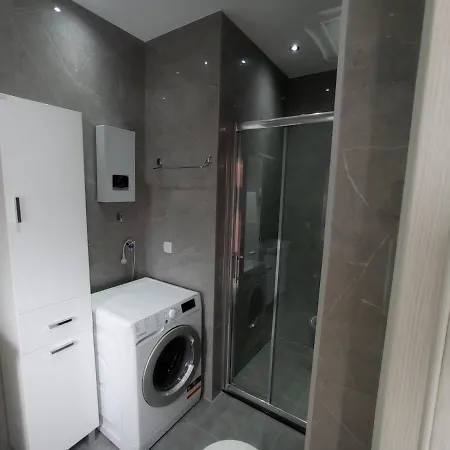 Vaskovic Apartment *